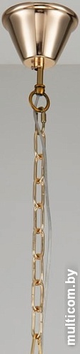 Подвесная люстра Favourite Medea 2696-5P