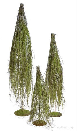 Ель Canea B150102-60