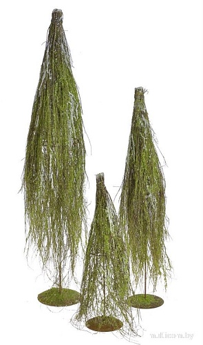 Ель Canea B150102-60