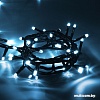Гирлянда Vegas Нить 55063 100 LED (белый холодный)