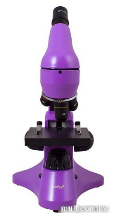 Levenhuk Rainbow 50L (аметист) 69047