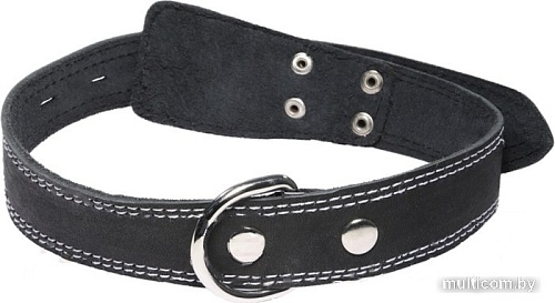 Ошейник Gamma Кожаный c кольцом 11232025