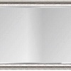 Интерьерные зеркала Алмаз-Люкс М-355 130х55