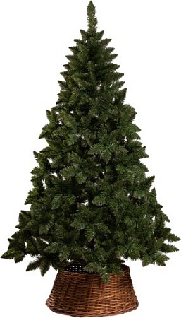 Ель Ёлушка Невская ЕНЕВ 11 (1.1м)