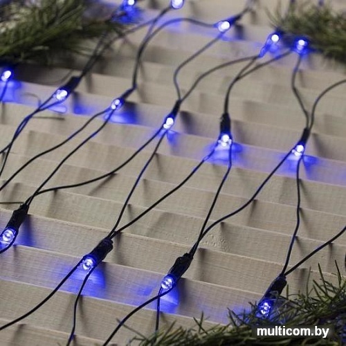 Световая сетка Luazon Сеть 224 LED 2х2 м (синий) 1585754