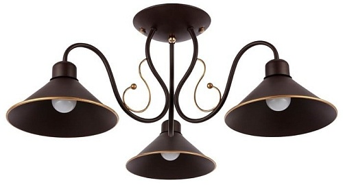 Evoluce Ciolla SLE120402-03