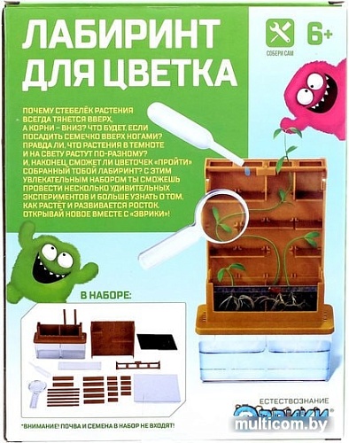 Эврики Лабиринт для цветка 3818464