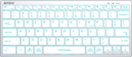 Клавиатура A4Tech Fstyler FX61 (серебристый/белый)