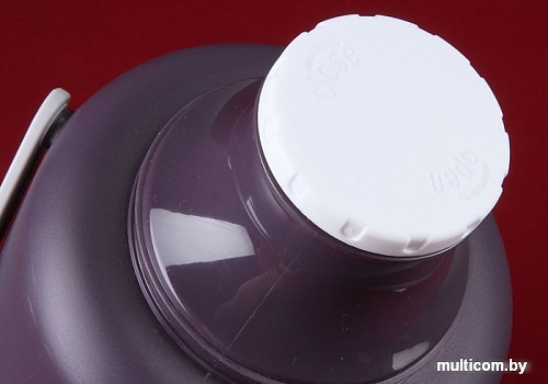 Термос Rosenberg RPL-420005 3.2л (фиолетовый)