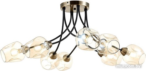 Люстра средней высоты Evoluce Besano SLE205302-08