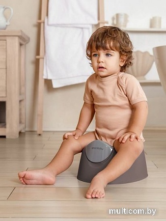 Детский горшок Amarobaby Bonny AB221104B/11 (серый)