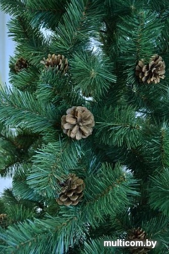 Ель Царь Елка Холидей с шишками 2.1 м