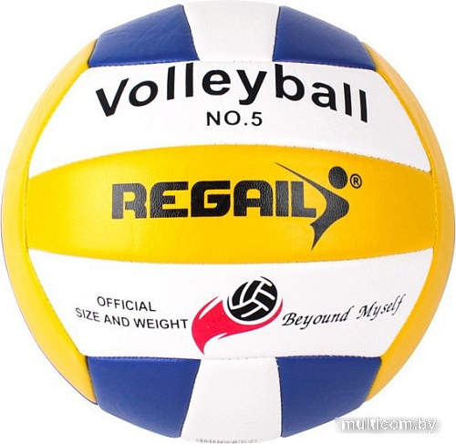 Волейбольный мяч Darvish SR-S-28 (5 размер, белый/желтый/синий)