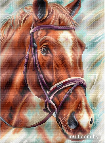 Набор для вышивания Белоснежка Побегаем? 205-14