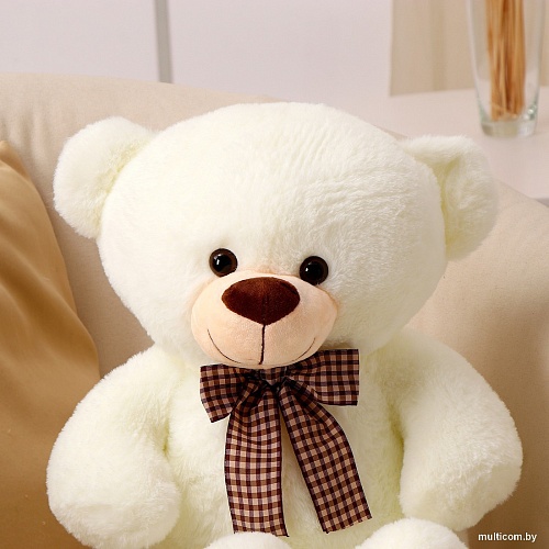 Классическая игрушка Sima-Land Медведь 10688848 (белый)