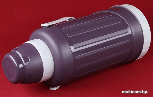 Термос Rosenberg RPL-420005 3.2л (фиолетовый)