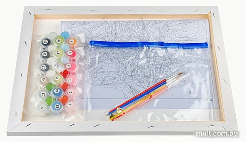 Картина по номерам Белоснежка Розовый попугай 361-AS