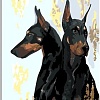Картина по номерам PaintLine Доберманы 2038094983129
