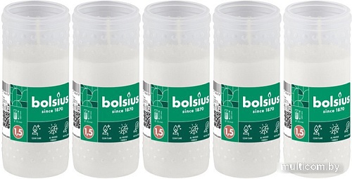 Набор свечей Bolsius Ритуальные масляные rp15 1.5 дня горения (белый)