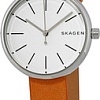 Наручные часы Skagen SKW2594
