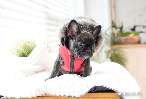 Жилетка для животных Puppia Orson PARD-VT1569-RD-L (красный)