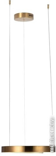 Подвесная люстра LOFT IT Ring 10013S