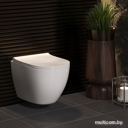 Унитаз подвесной Berges Wasserhaus Okus + Okus Slim SO + Atom Line 410 042446