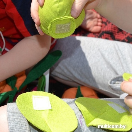 Набор игрушечных продуктов Paremo Овощи с карточками PK320-15 (5 предметов)