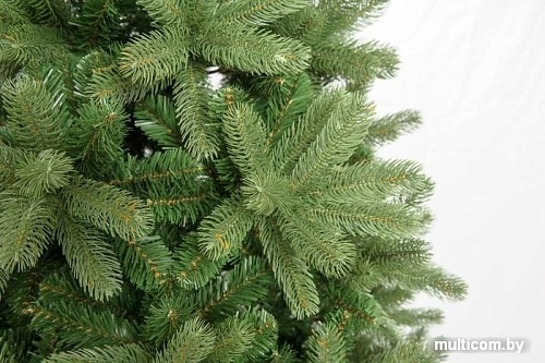 Ель Царь Елка Русская красавица 1.5 м