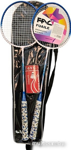 Теннис/бадминтон Ausini F203