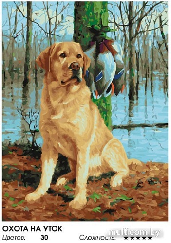 Картина по номерам Белоснежка Охота на уток 968-AS