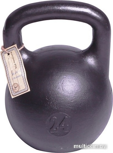 Titan любительская 24 кг