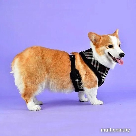 Шлейка-жилетка Puppia Dean Harness A PASD-HA1657-BK-XL (черный)