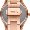 Наручные часы Fossil Stella ES5109