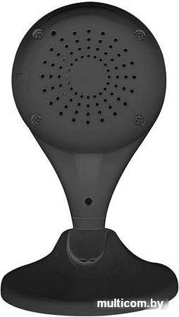 IP-камера Digma DiVision 300 (черный)