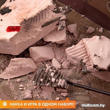 Набор для опытов 4M Раскопай скелет. Велоцираптор 00-13234