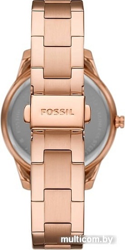 Наручные часы Fossil Stella ES5109
