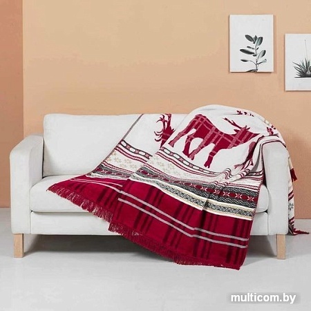 Плед Arya Christmas Winter 8680943098252