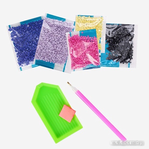 Алмазная мозаика Darvish Вдохновение DV-9518-6