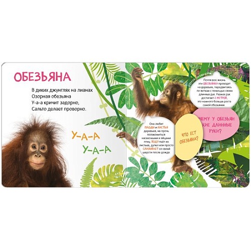 Мозаика-Синтез. Книжки с окошками. Кто где живет? МС12684