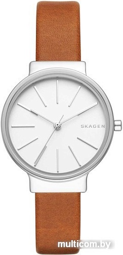 Наручные часы Skagen SKW2479