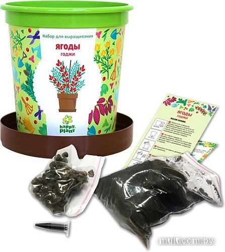 Набор для опытов Happy plant Ягоды Годжи hpn-18