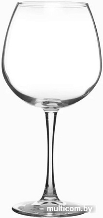 Бокал для вина Pasabahce Энотека 44248/876364