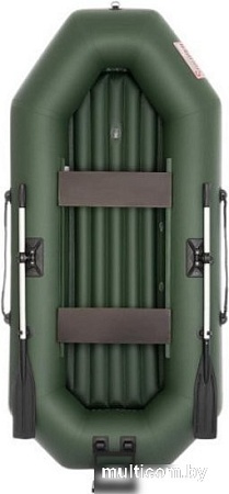 Моторно-гребная лодка Тонар Шкипер А280НТ (зеленый)