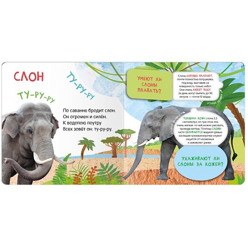 Мозаика-Синтез. Книжки с окошками. Кто где живет? МС12684