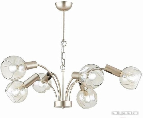 Подвесная люстра Evoluce SLE104203-06