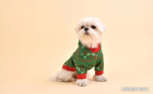 Свитер для животных Pinkaholic Noelle NAUD-TS7652-GR-L (зеленый)