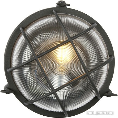 Уличный настенный светильник Favourite Pointer 3023-1W