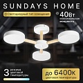 Припотолочная люстра Sundays Home 240924-22 5849