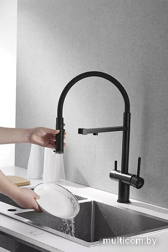 Смеситель Rose R958H (черный)